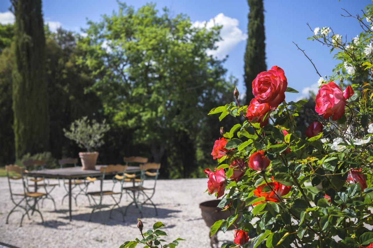 Agriturismo Cretaiole Villa Pienza Exterior photo