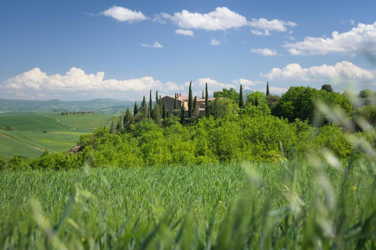 Agriturismo Cretaiole Villa Pienza Exterior photo